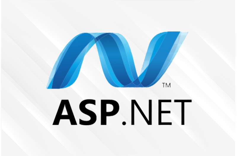 Asp.-Net -Website Design & Development program illustration